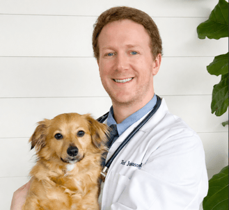 Screenshot 2026-03-23 at 8.57.32 PM