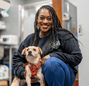 Screenshot 2026-03-27 at 1.34.28 PM